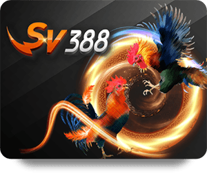 Join the Thrill of Dafabet Casino Live: Play with Real Players